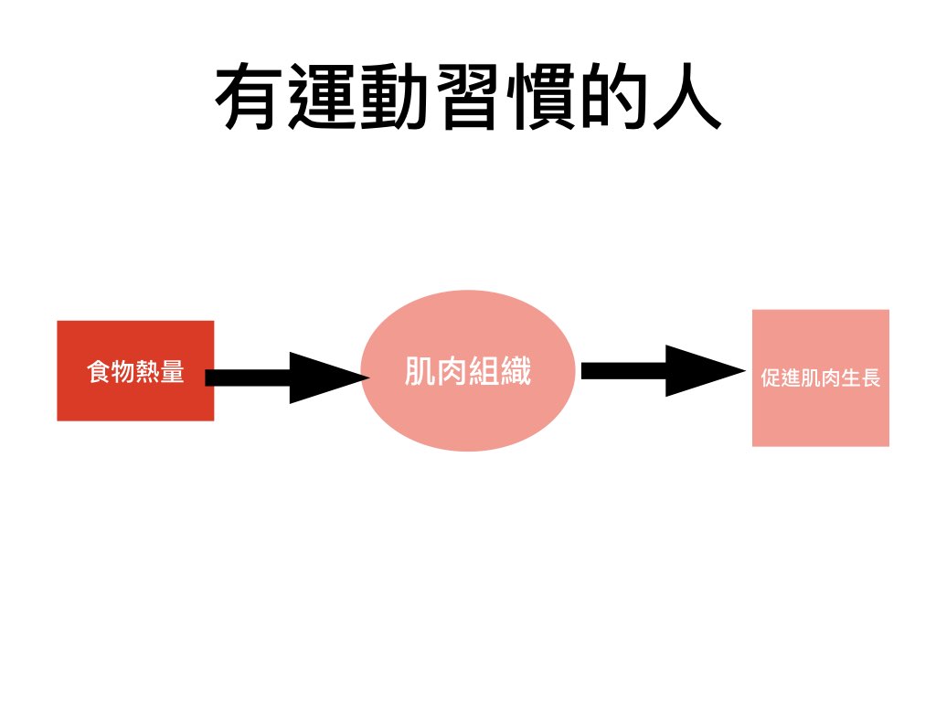 有運動習慣的人的能量分配